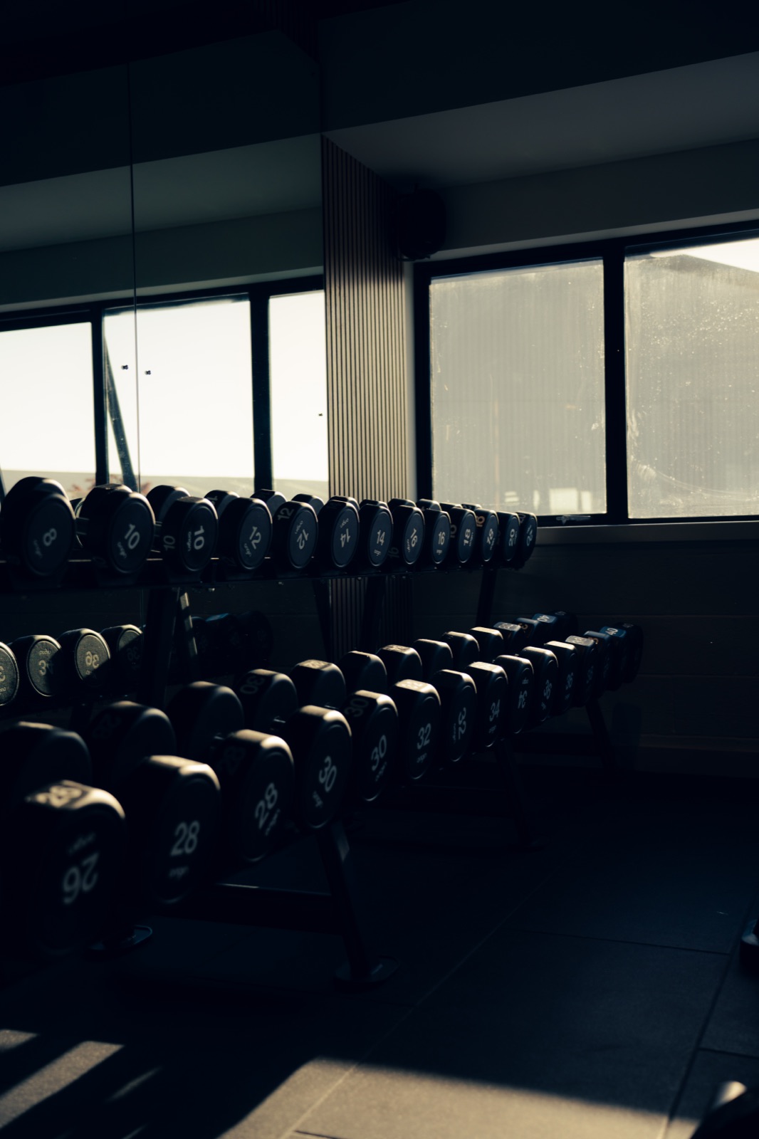 Free weights in the Encourt gym