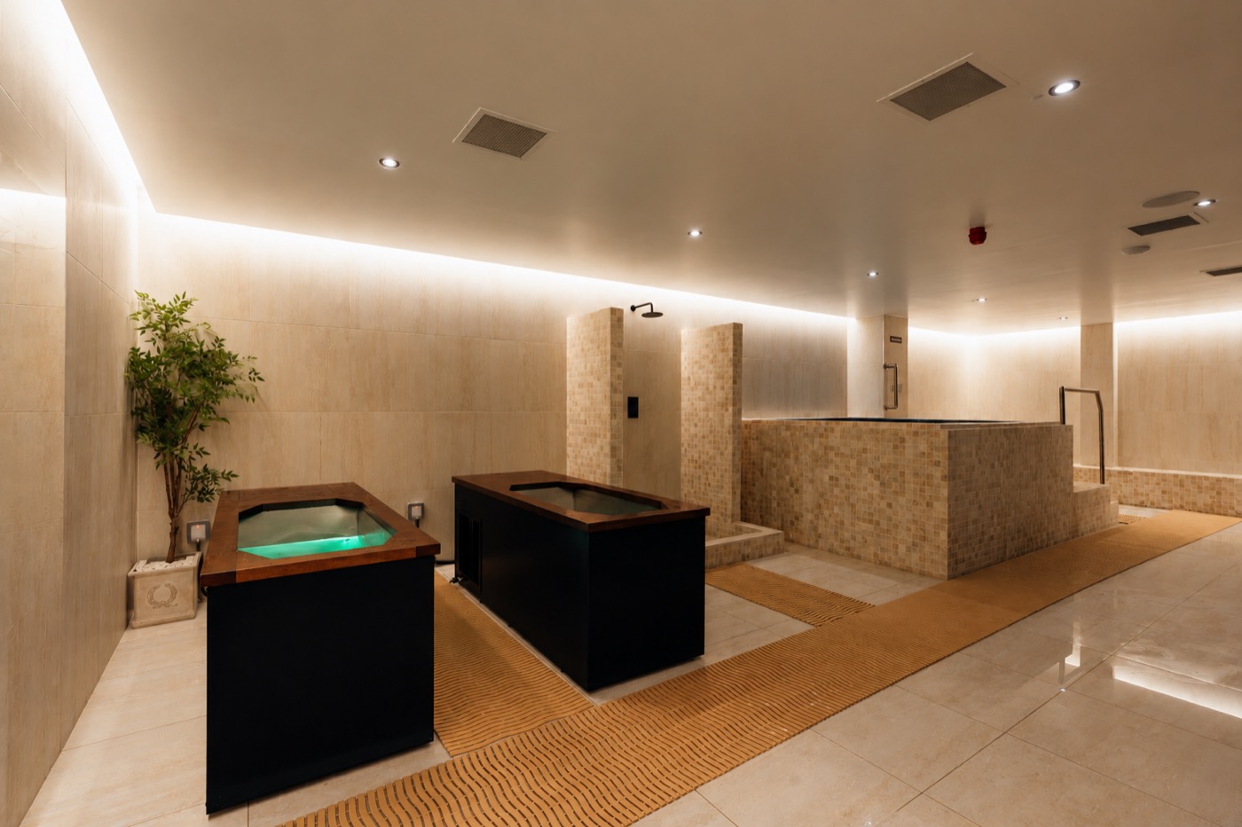 Hydrotherapy plunge pools and shower at Encourt